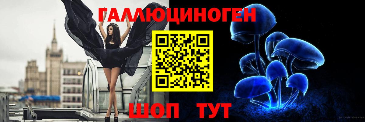 Псилоцибиновые грибы мицелий Искитим